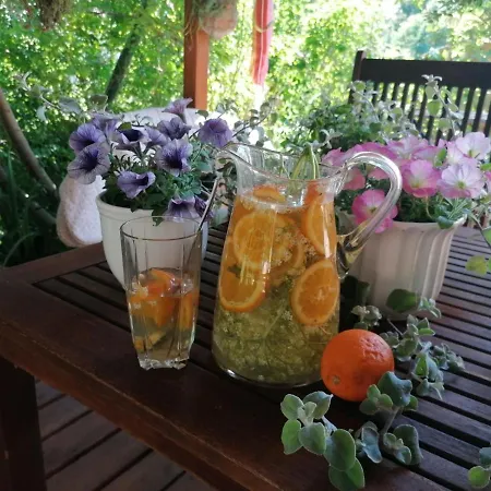 Vakantiehuis Netti-lak Vonyarcvashegy